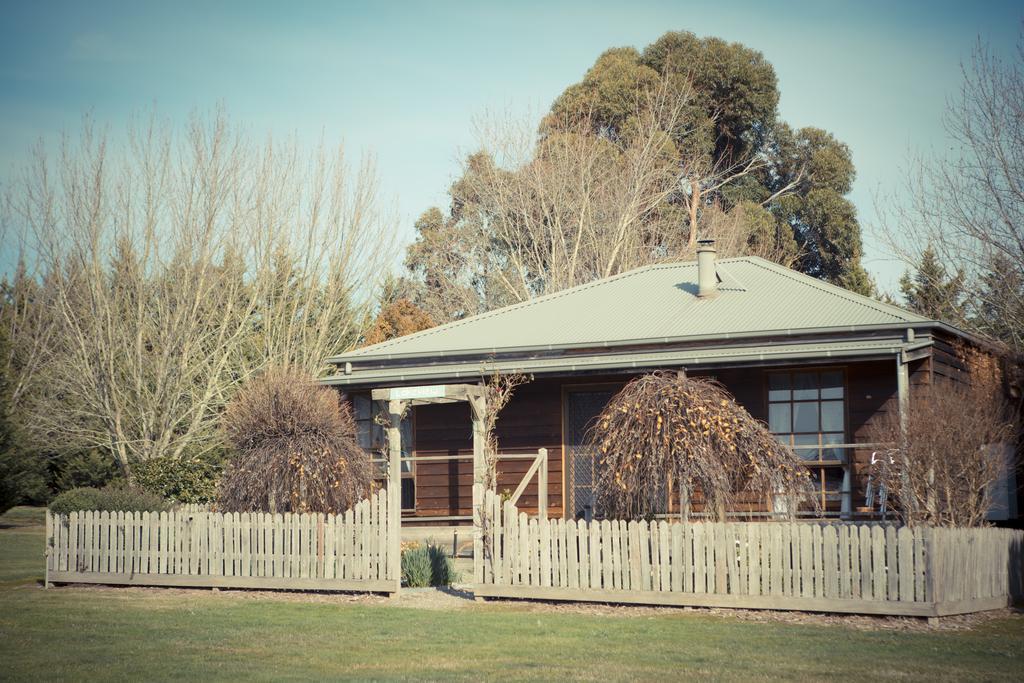 Sanctuary Park Cottages Хилсвилл Экстерьер фото